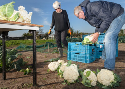 Urban Farming Den Bosch | Documentaire Fotografie | Mike Harris Fotografie